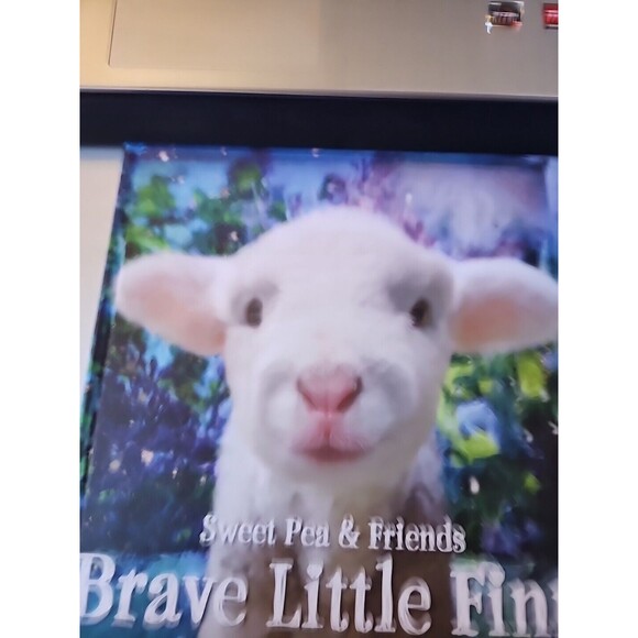 Brave Little Finn by John Churchman and Jennifer Churchman (2016, Picture Book) - Picture 2 of 9